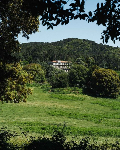 Domaine
