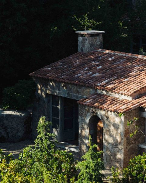 Caseddu