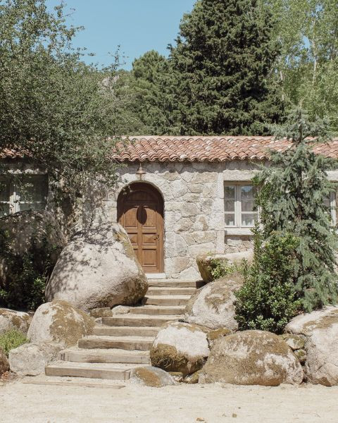 Caseddu