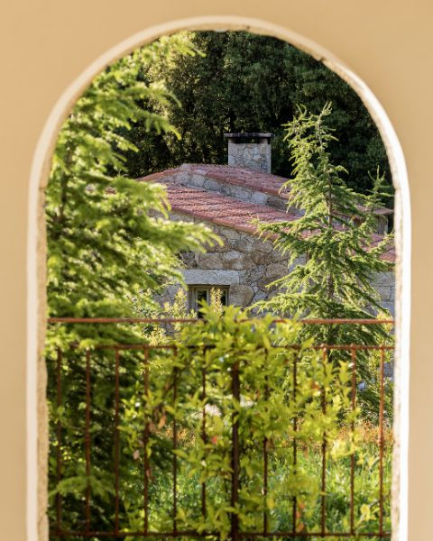 Caseddu