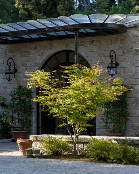 Domaine