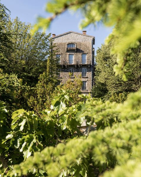 Domaine