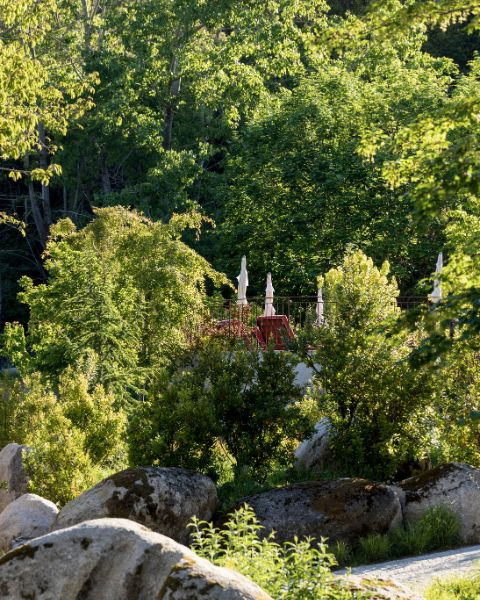 Domaine