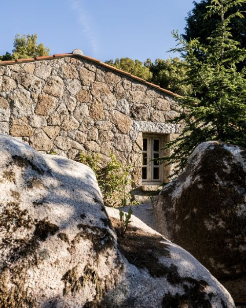Caseddu
