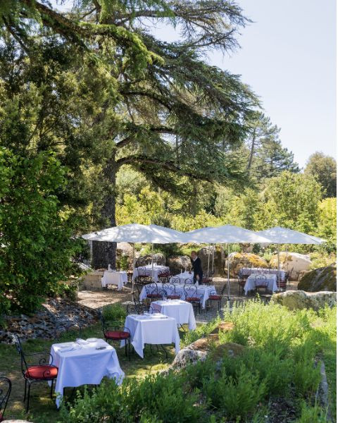 Terrasse