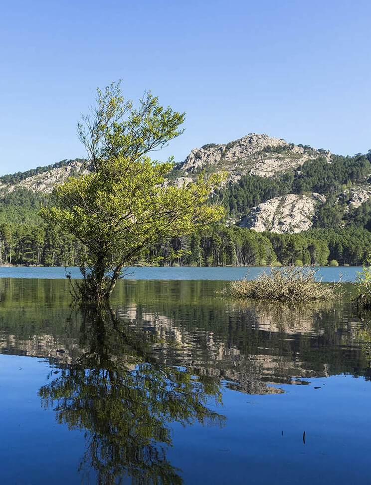 Lac - Zonza