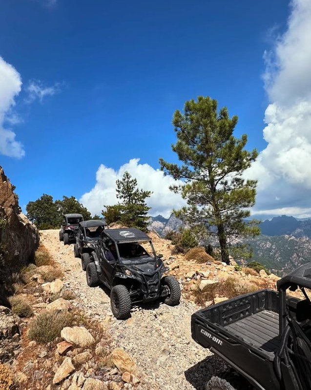 Quad
