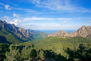 Terra mea